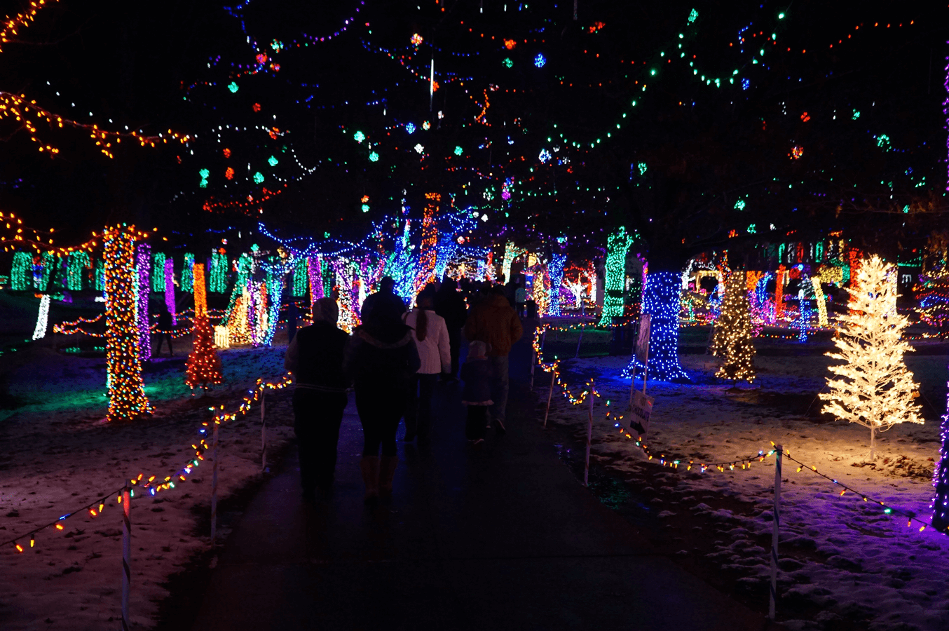 Home Rhema Lights
