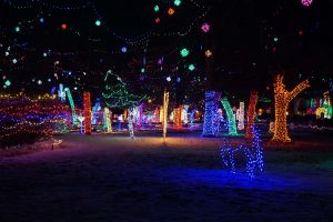 Rhema Park Christmas Lights