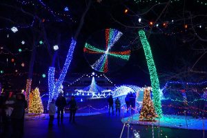 Rhema Christmas Lights Extravaganza
