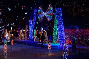 Fun Family at Rhema Christmas Lights