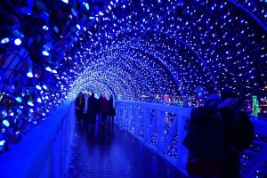 The Bridge at Rhema Christmas Lights