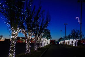Festive and Fun at Rhema Christmas Lights Extravaganza